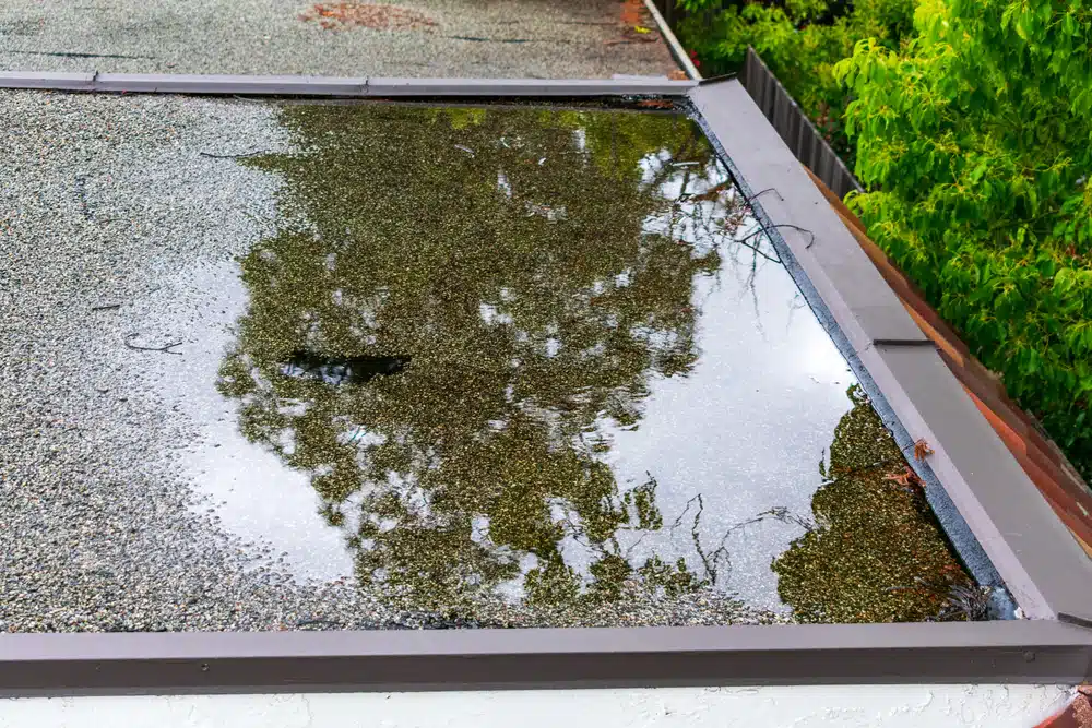 Plat dak onder water / lekkage